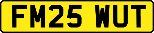 FM25WUT