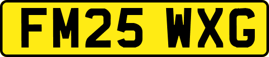 FM25WXG