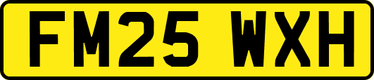 FM25WXH