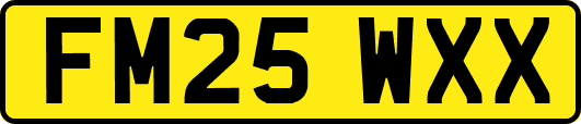 FM25WXX
