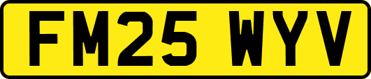FM25WYV