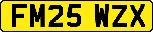 FM25WZX