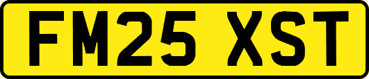 FM25XST