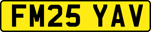 FM25YAV