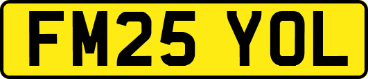 FM25YOL