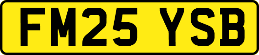 FM25YSB