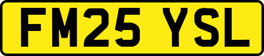 FM25YSL