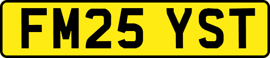 FM25YST