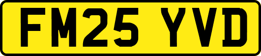 FM25YVD