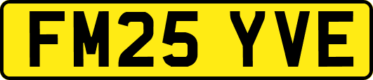 FM25YVE