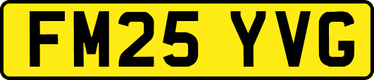 FM25YVG
