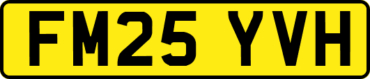 FM25YVH