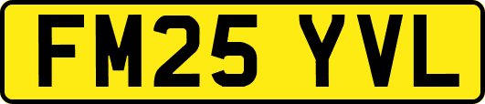 FM25YVL