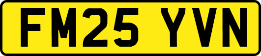 FM25YVN