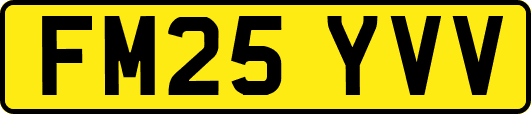 FM25YVV