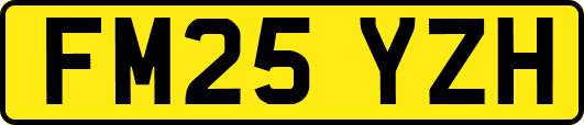 FM25YZH