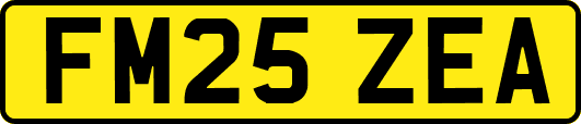 FM25ZEA