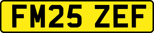 FM25ZEF