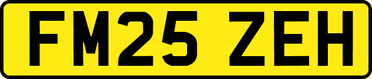 FM25ZEH