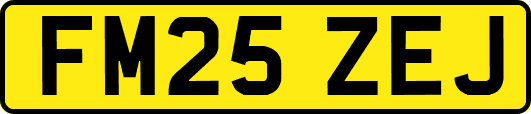 FM25ZEJ