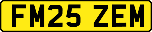 FM25ZEM