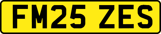 FM25ZES