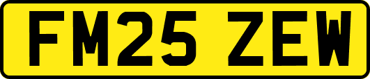 FM25ZEW