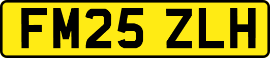 FM25ZLH