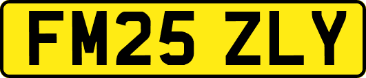 FM25ZLY