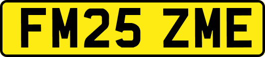 FM25ZME