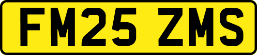 FM25ZMS