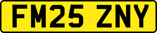 FM25ZNY