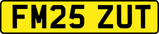 FM25ZUT