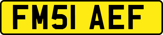 FM51AEF