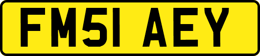 FM51AEY