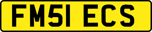 FM51ECS