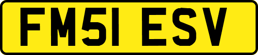 FM51ESV