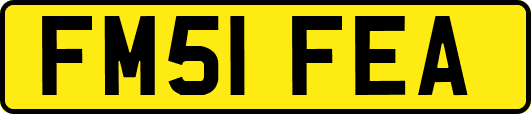 FM51FEA
