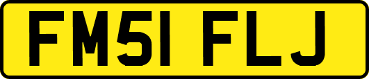FM51FLJ