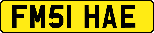 FM51HAE