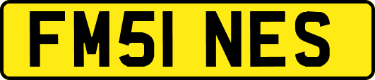 FM51NES