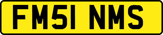 FM51NMS