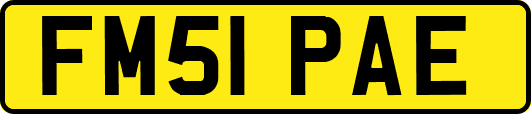 FM51PAE