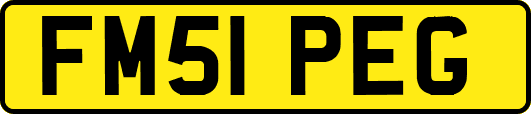 FM51PEG