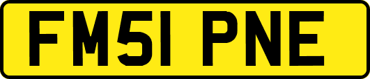FM51PNE