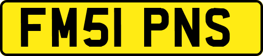 FM51PNS