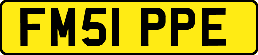 FM51PPE