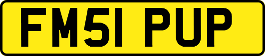 FM51PUP