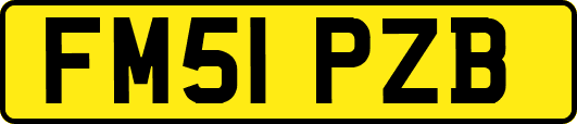 FM51PZB