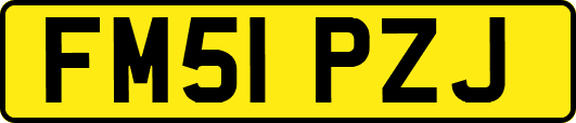 FM51PZJ